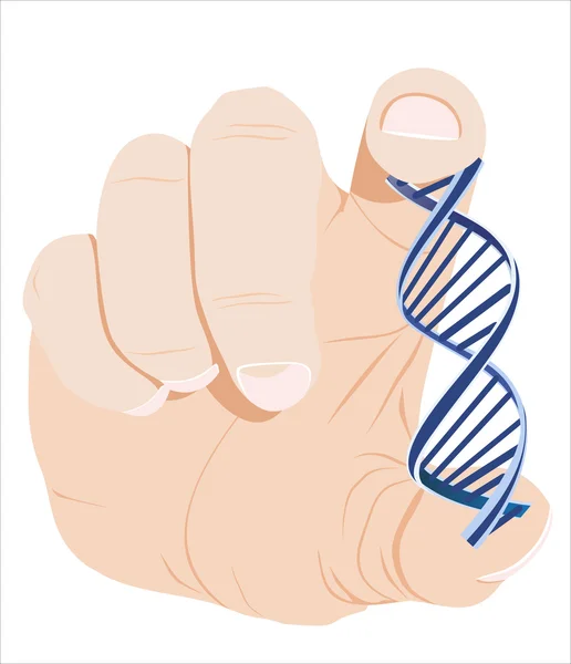 Mano humana sosteniendo fórmula de ADN — Vector de stock