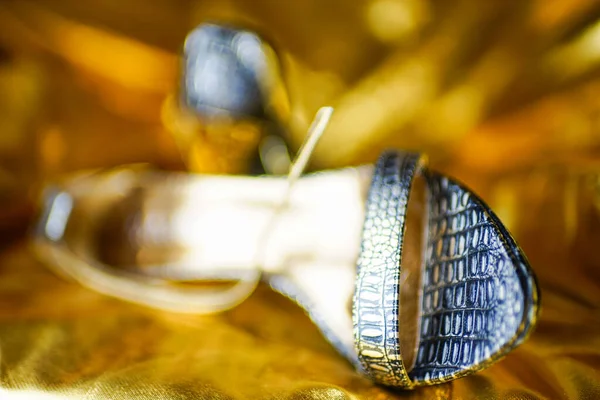 Стильні сандалі зі змій на золотому вінілі, вид збоку — стокове фото