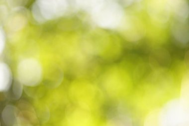 Yeşil renkli bir arka plan. Bulanık bokeh etkisi.