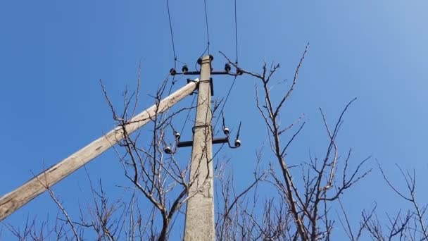 Elektrische zuil met draden en kale boomtakken in helderblauwe lucht — Stockvideo