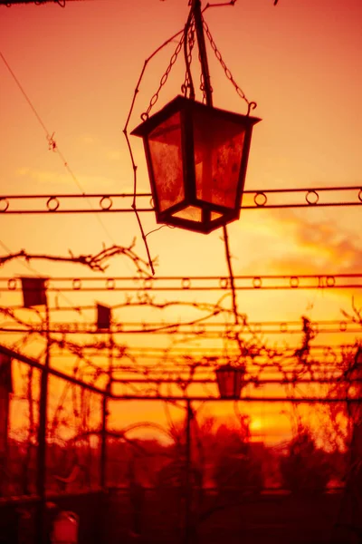 old glass lantern hang in the sunset garden in orange sky.