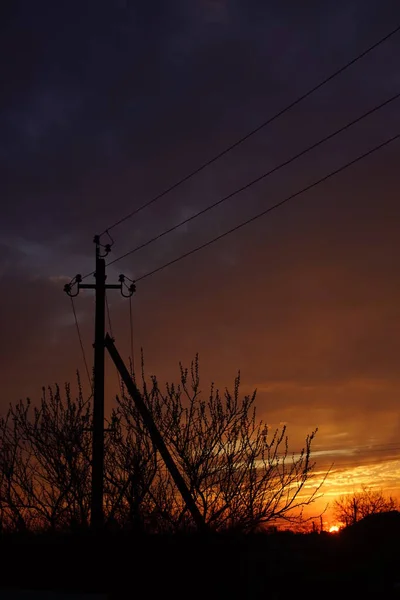 Silueta Negra Pilar Árboles Contra Cielo Naranja Oscuro Atardecer — Foto de Stock