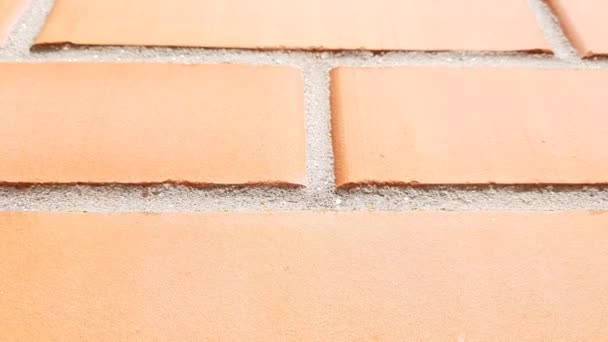 Orange Brick Wall Closeup Review — Stock Video