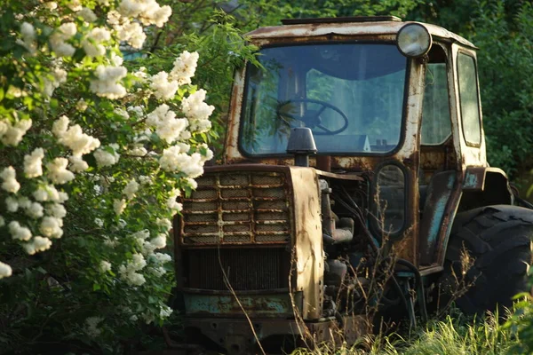Stary Opuszczony Traktor Wiosennym Ogrodzie Zachodzie Słońca — Zdjęcie stockowe