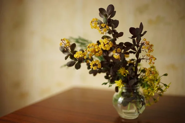 Bukiet Gałęziami Żółtych Kwiatów Malin Stole — Zdjęcie stockowe