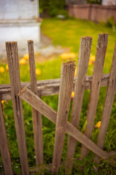 Old broken picket fence in rural garden.