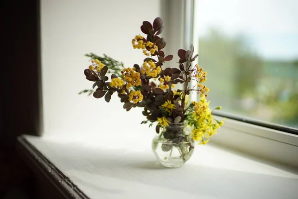 Gałęzie Krzewu Jagodowego Kwitnącymi Żółtymi Kwiatami Szklanym Wazonie Parapecie — Zdjęcie stockowe
