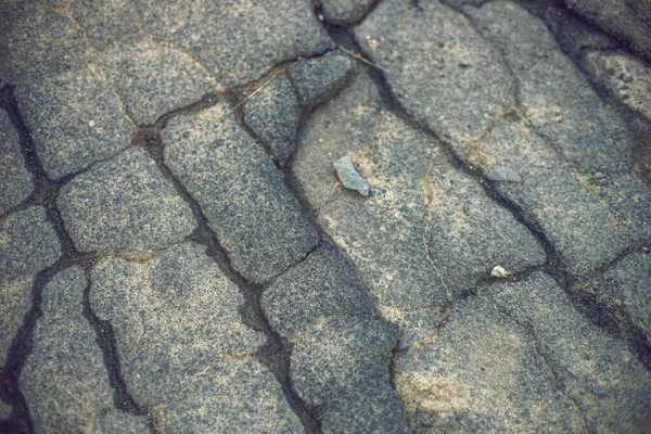 Islak Çatlaklarda Eski Kırık Bir Asfalt Yolun Yakın Görüntüsü — Stok fotoğraf