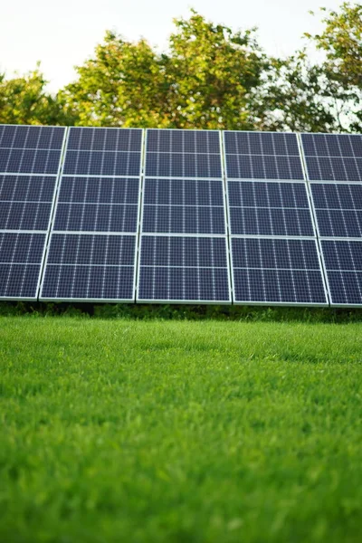 Новые Солнечные Батареи Летнем Саду Зеленой Травой — стоковое фото