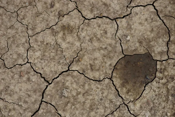 Wet Brown Ground Cracks Rural Road Close — Stock Photo, Image