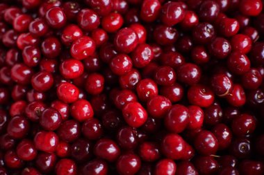 Olgun kırmızı kirazlar, üst görünüm, arka plan için.