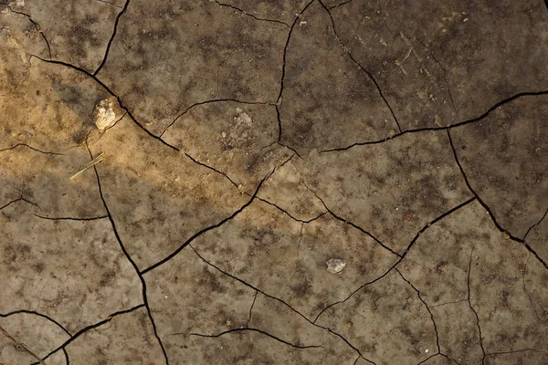 Wet brown ground in deep cracks close-up.
