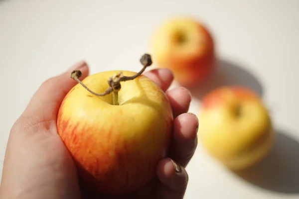 Dojrzałe Żółte Pomarańczowe Jabłko Kobiecej Dłoni Biały Słoneczny Stół Jabłkami — Zdjęcie stockowe