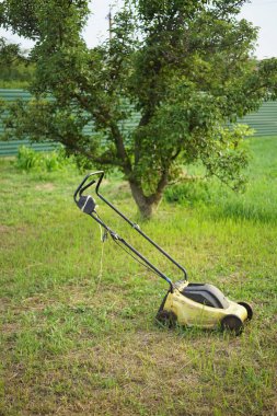 Sarı çim biçme makinesi bir yaz bahçesinde biçilmiş bir çimenlikte duruyor. Armut ağacı arkaplanda.