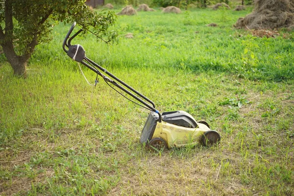 Sarı çim biçme makinesi bir yaz bahçesinde biçilmiş bir çimenlikte duruyor. Armut ağacı ve arka planda kuru ot yığınları