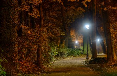 Geceleri sokak lambaları sakin sahnede tarafından aydınlatılmış renkli sonbahar woodland aracılığıyla yol virajlı