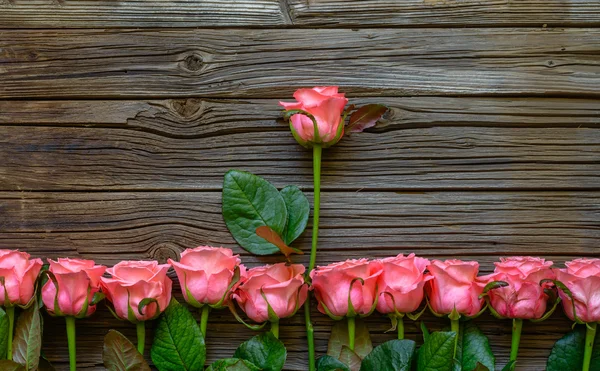 Gränsa av romantiska rosa fräscha rosor — Stockfoto