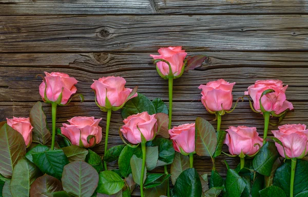 Sidan gränsen av vackra färska rosa rosor — Stockfoto
