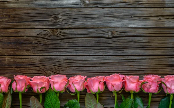 Боковая граница красивых свежих розовых роз — стоковое фото