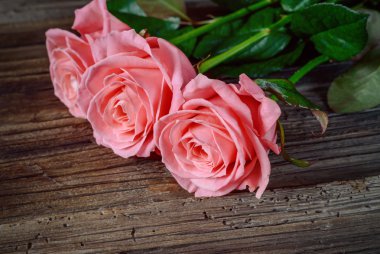 Ahşap masa üzerinde gül üzerinde kapat