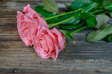 Ahşap masa üzerinde gül üzerinde kapat