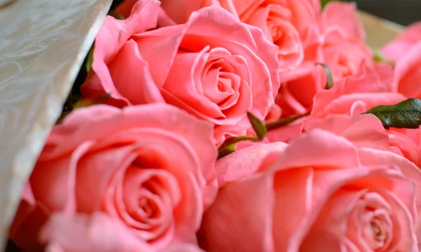 Närbild på rosor över träbord — Stockfoto