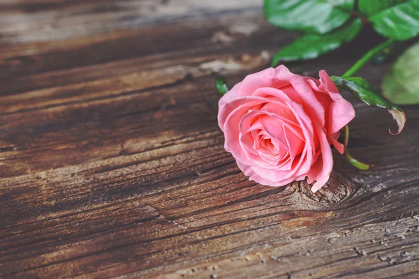 Rosa steg på ett rustikt bord — Stockfoto