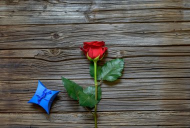 Sevgililer hediye ile tek kırmızı gül