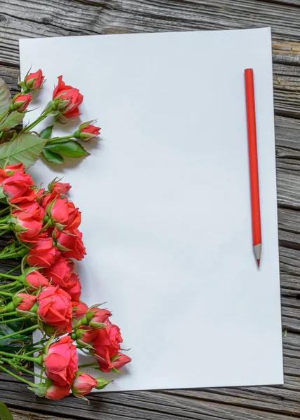 Papel em branco com lápis — Fotografia de Stock