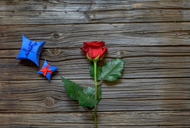 Sevgililer hediye ile tek kırmızı gül