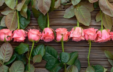 Pembe güllerin ters bakan sıraları