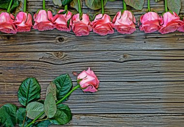 Pembe güller rustik Sevgililer Günü arka plan