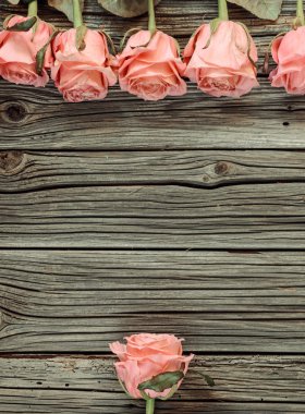 Pembe güller rustik Sevgililer Günü arka plan