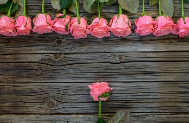 Pembe güller rustik Sevgililer Günü arka plan