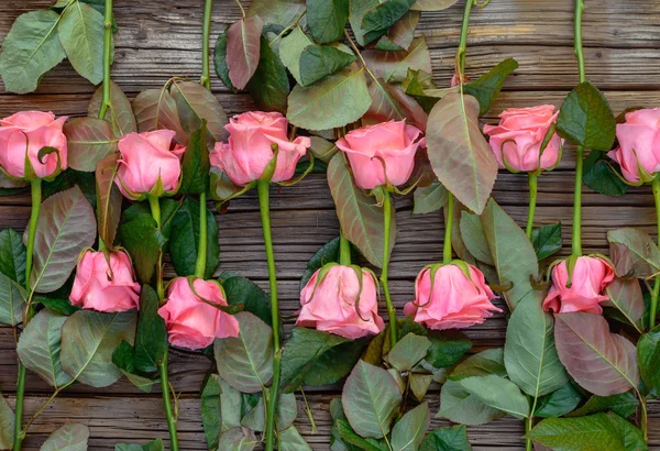 Pembe güllerin ters bakan sıraları