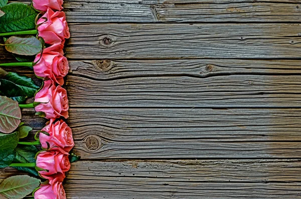 Боковая граница красивых свежих розовых роз — стоковое фото
