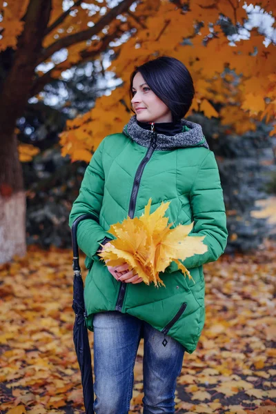 Привлекательная молодая женщина собирает осенние листья — стоковое фото