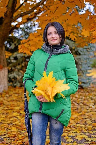 Atrakcyjna, młoda kobieta, gromadzenie jesień liści — Zdjęcie stockowe