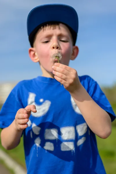 Cute chłopiec dmuchanie na dandelion w słoneczny dzień — Zdjęcie stockowe