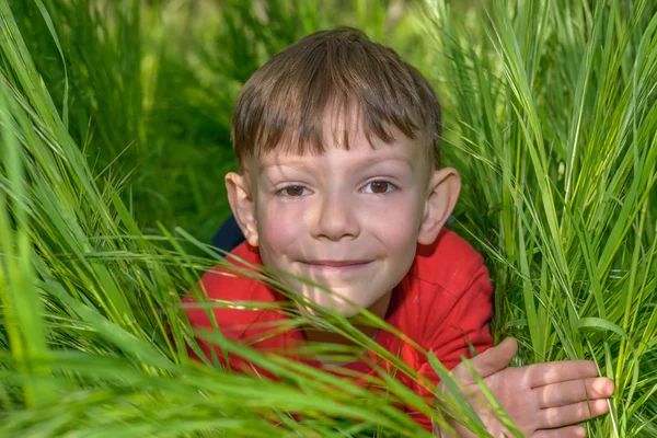 Sorrindo menino olhando para fora da grama exuberante — Fotografia de Stock