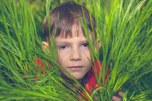 Serious little boy peering out from lush grass — Stock Photo, Image