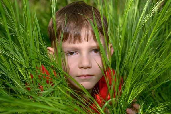 Souriant petit garçon regardant dehors de l'herbe luxuriante — Photo