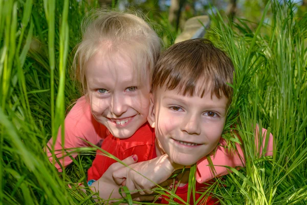 Spaß liebende kleine Jungen und Mädchen im langen grünen Gras — Stockfoto