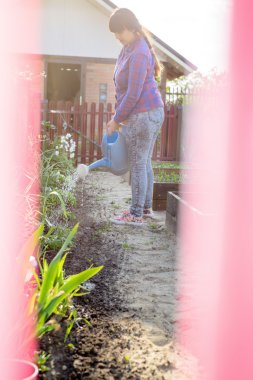 Açık havada Bahçe Sulama duran kadın