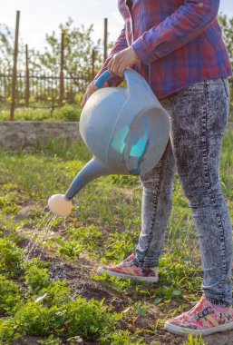 Çekici bir kadın ayakta sulama fidan