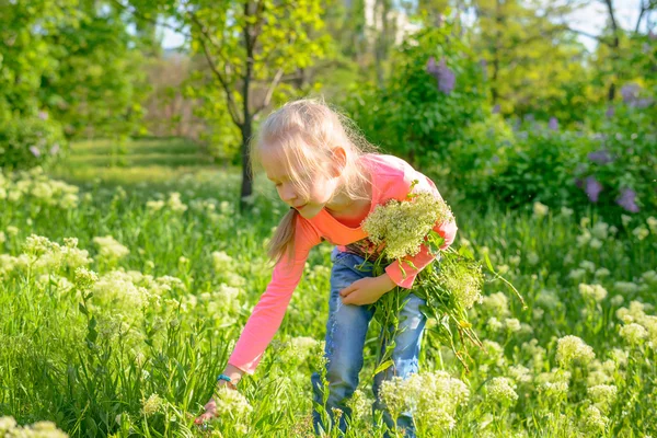 Niedliche kleine blonde Mädchen Blumen pflücken — Stockfoto