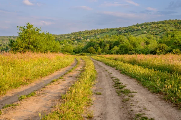 Farm tracks leading through a wheat field — Stock Photo, Image