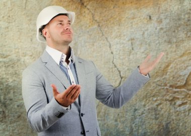 Structural engineer pleading ignorance clipart
