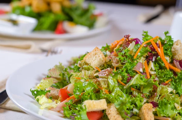 Plaat van gezonde lommerrijke groene salade met croutons — Stockfoto