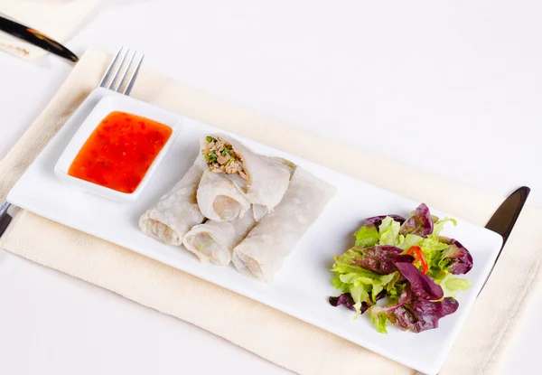 Healthy Meaty Spring Rolls with Veggies and Sauce — Stock Photo, Image